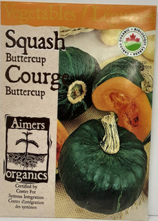 SEEDS - Squash Buttercup